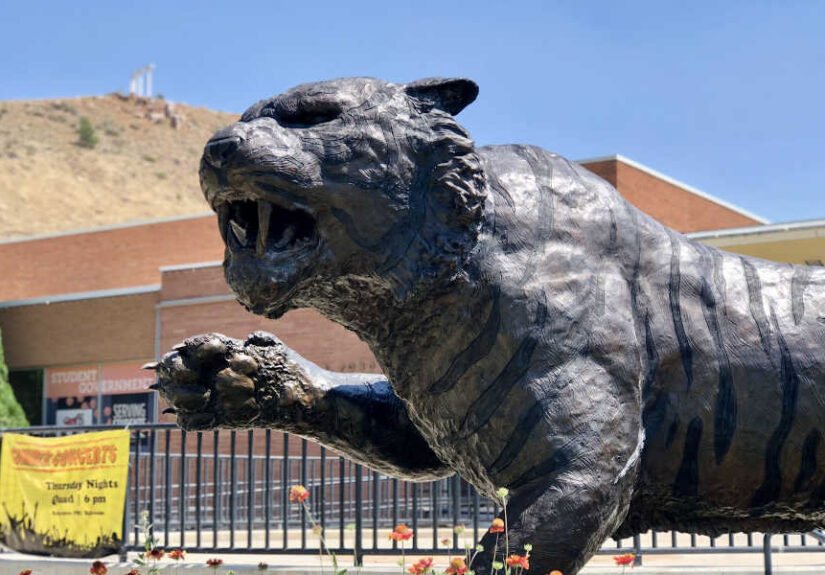 City of Pocatello considering changing name of Cesar Chavez Avenue through âcommunity-driven processâ