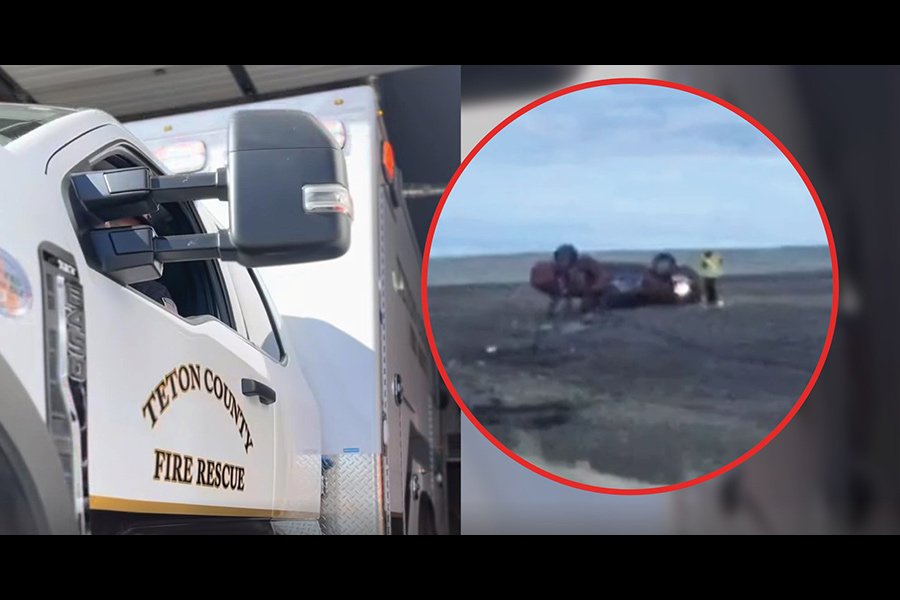 Coroner identifies local man who died after crashing into dead elk on Idaho Highway 33