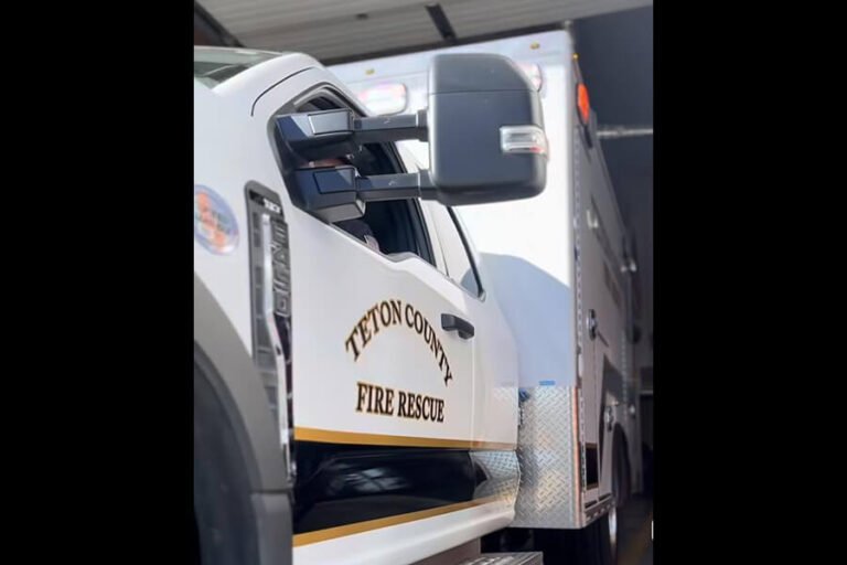 One dead after driving into an elk on Idaho Highway 33 near Driggs