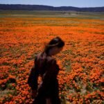 Welcome to allergy season. Here’s how to protect yourself