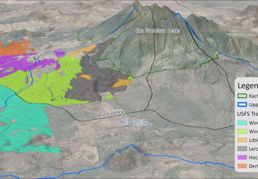 Coconino County approves $3.5 million for first half of Leroux forest restoration project