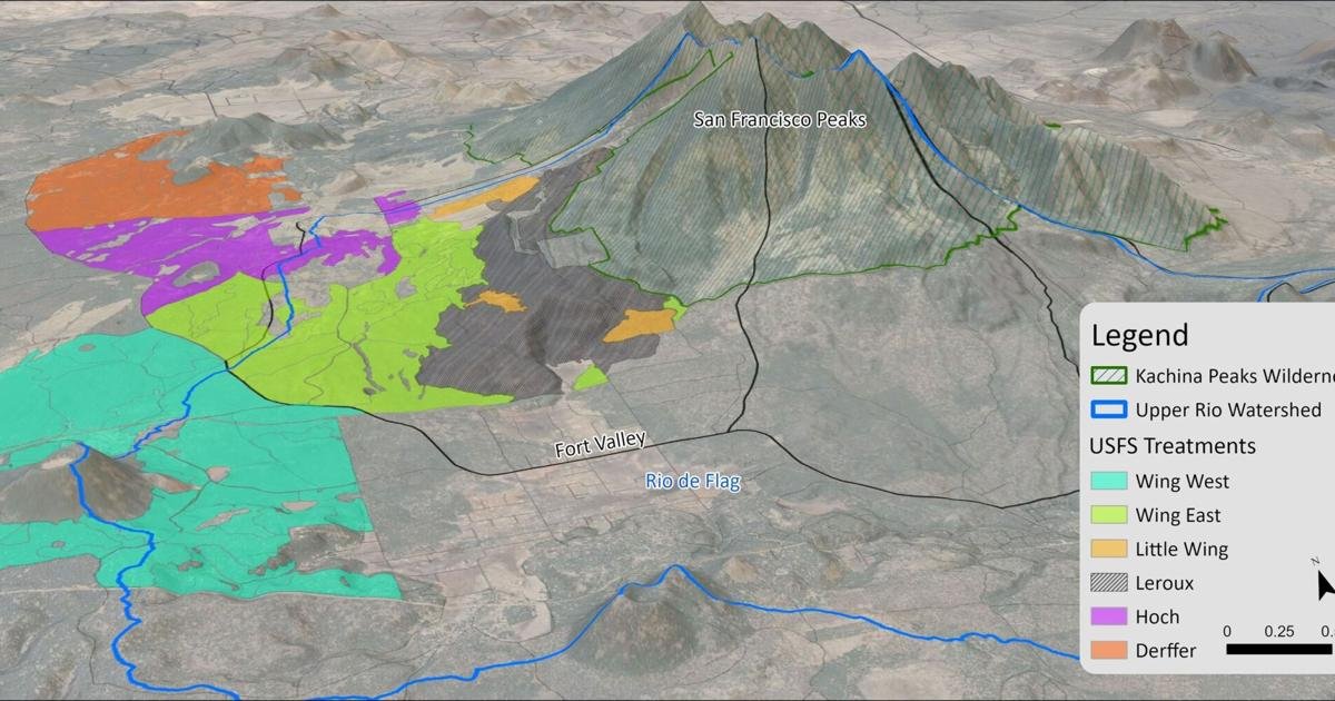Coconino County approves $3.5 million for first half of Leroux forest restoration project