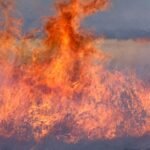 Coconino National Forest planning prescribed burn near Stoneman Lake on Thursday