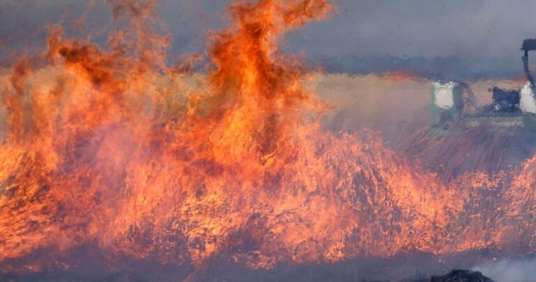 Coconino National Forest planning prescribed burn near Stoneman Lake on Thursday