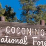 Coconino National Forest seeking volunteer campground hosts for summer