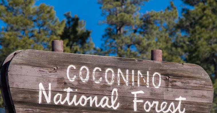 Coconino National Forest seeking volunteer campground hosts for summer