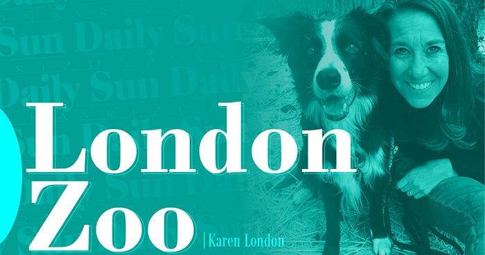 London Zoo: Stink happens: Self-anointing in animals