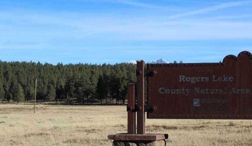 Public comment open until April 20 for the Rogers Lake County Natural Area Management Plan