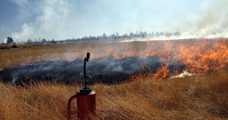 Public meeting for Community Wildfire Protection Plan scheduled for April 23