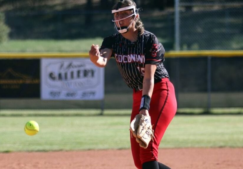 Coconino softball run-rules Saguaro 11-1, advances to 4A Conference state tournament