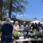 Gardening Etcetera: Launch the garden season at Master Gardenersâ Annual Plant Sale