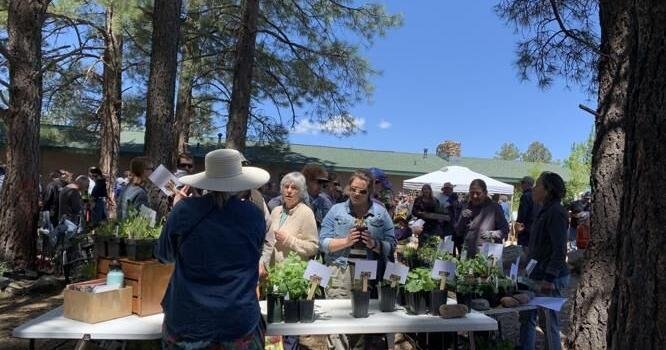 Gardening Etcetera: Launch the garden season at Master Gardenersâ Annual Plant Sale
