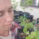 Gardening Etcetera: Protect your pets from yard and garden hazards