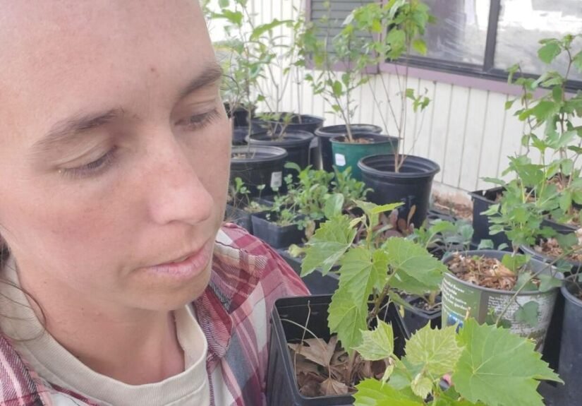 Gardening Etcetera: Protect your pets from yard and garden hazards
