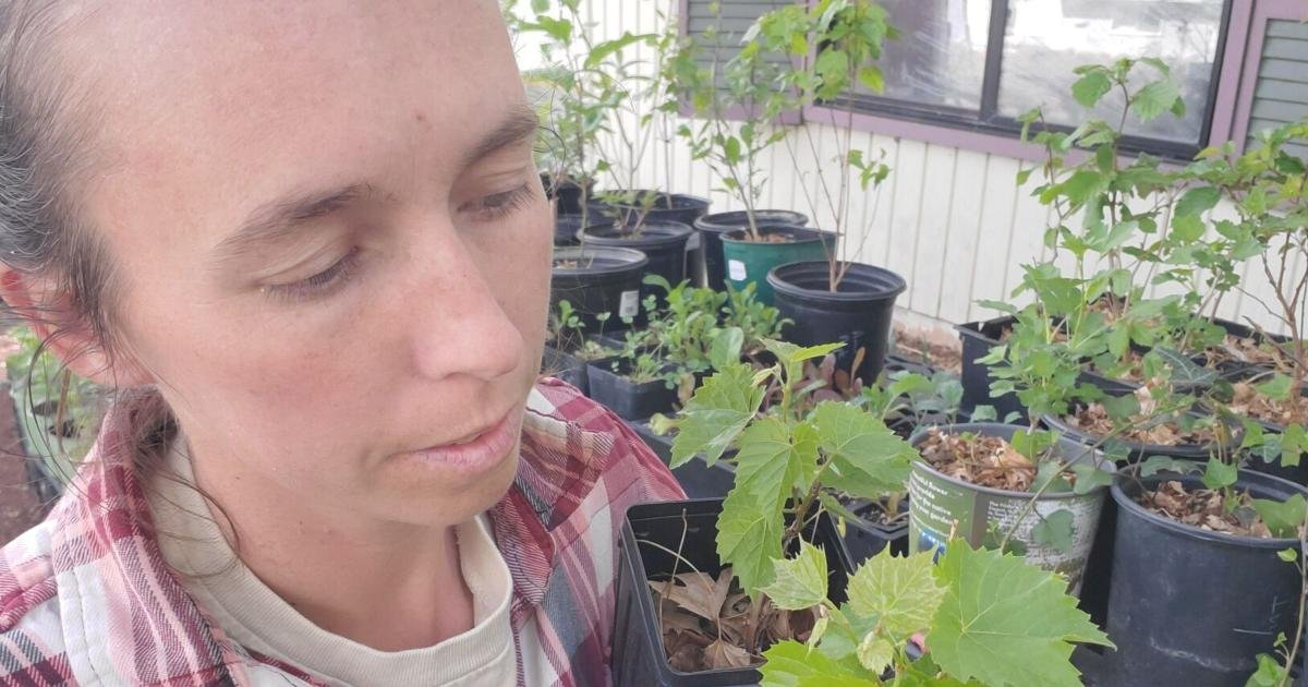 Gardening Etcetera: Protect your pets from yard and garden hazards