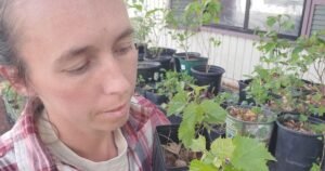 Gardening Etcetera: Rooted in Flagstaff, plants are in her genes