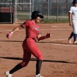 LOCAL ROUNDUP: Area teams represent on baseball, softball all-region teams