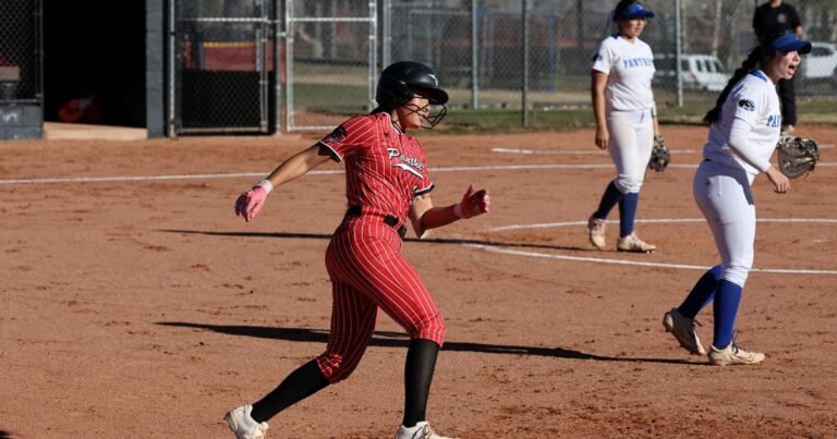 LOCAL ROUNDUP: Area teams represent on baseball, softball all-region teams