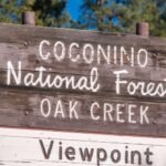 Ponderosa pine firewood available southeast of Flagstaff
