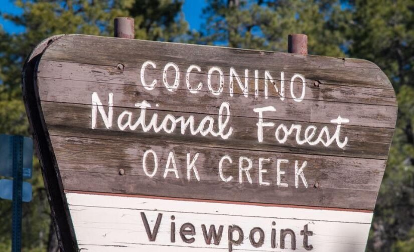 Ponderosa pine firewood available southeast of Flagstaff