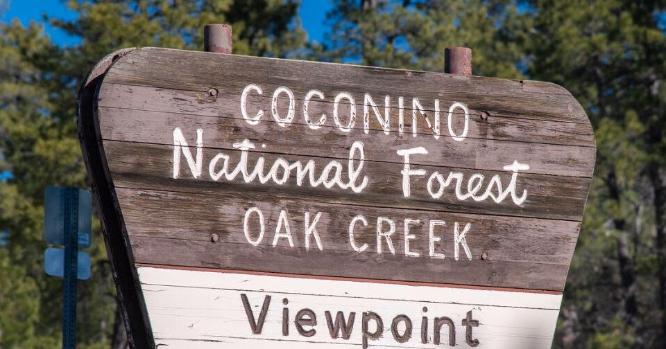 Ponderosa pine firewood available southeast of Flagstaff
