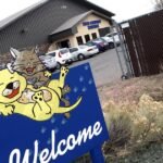 Animal Welfare: What the HCH/CHA merger means for animal care in Flagstaff going forward