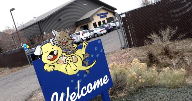 Animal Welfare: What the HCH/CHA merger means for animal care in Flagstaff going forward