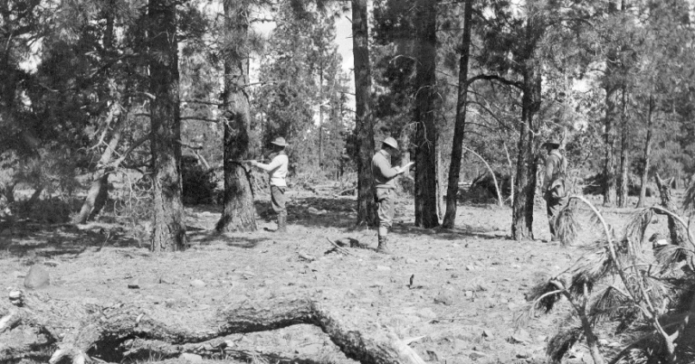 Ask a Ranger: The summer school of science: a 'wonderful cluster of unparalleled natural phenomena'