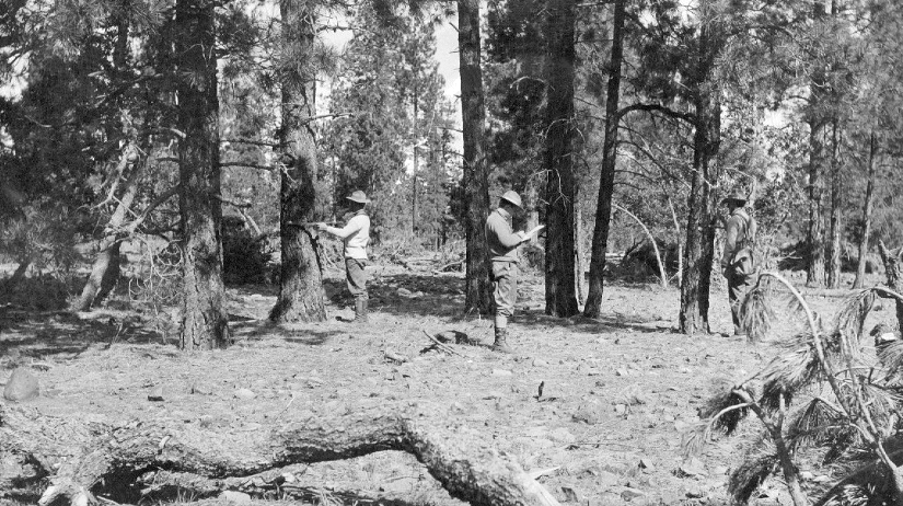 Ask a Ranger: The summer school of science: a 'wonderful cluster of unparalleled natural phenomena'