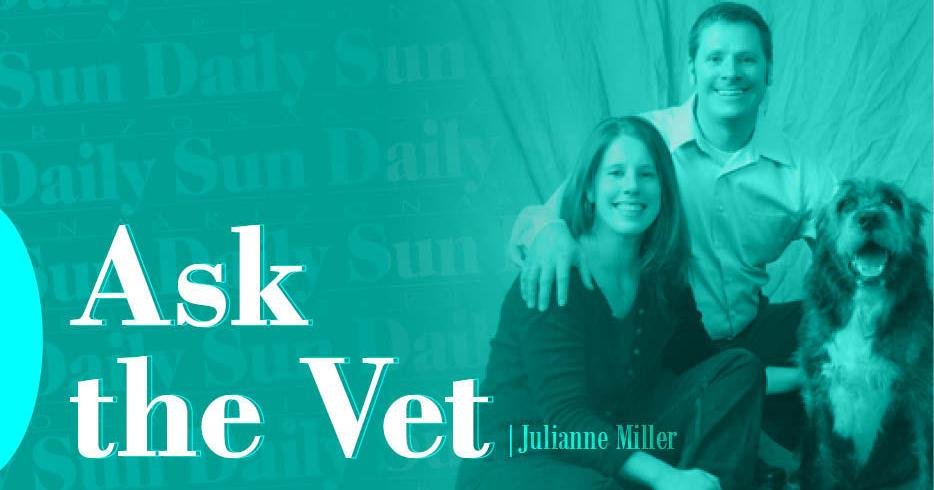 Ask The Vet: Helping dogs acclimate to a new home