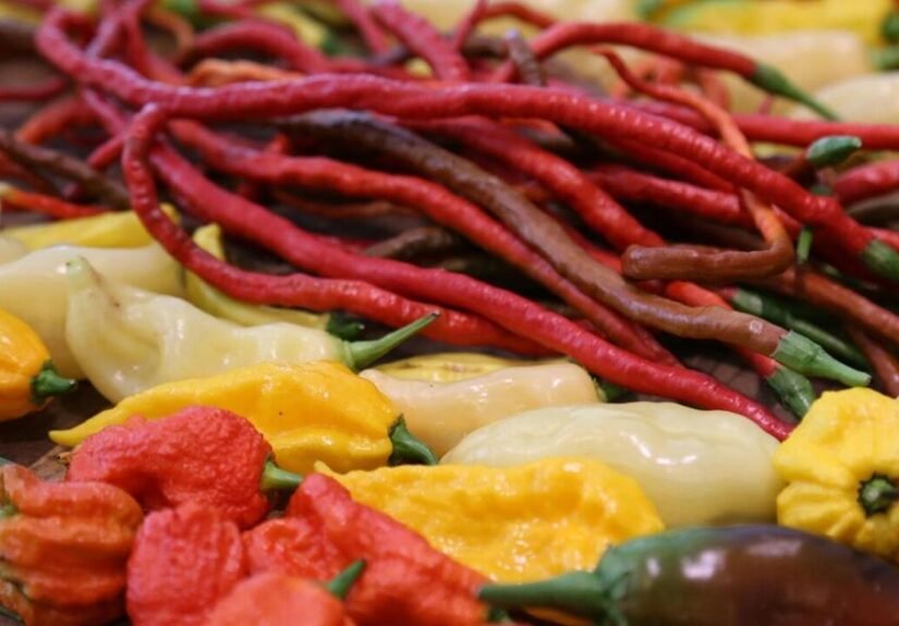 Gardening Etcetera: Growing hot peppers in northern Arizona