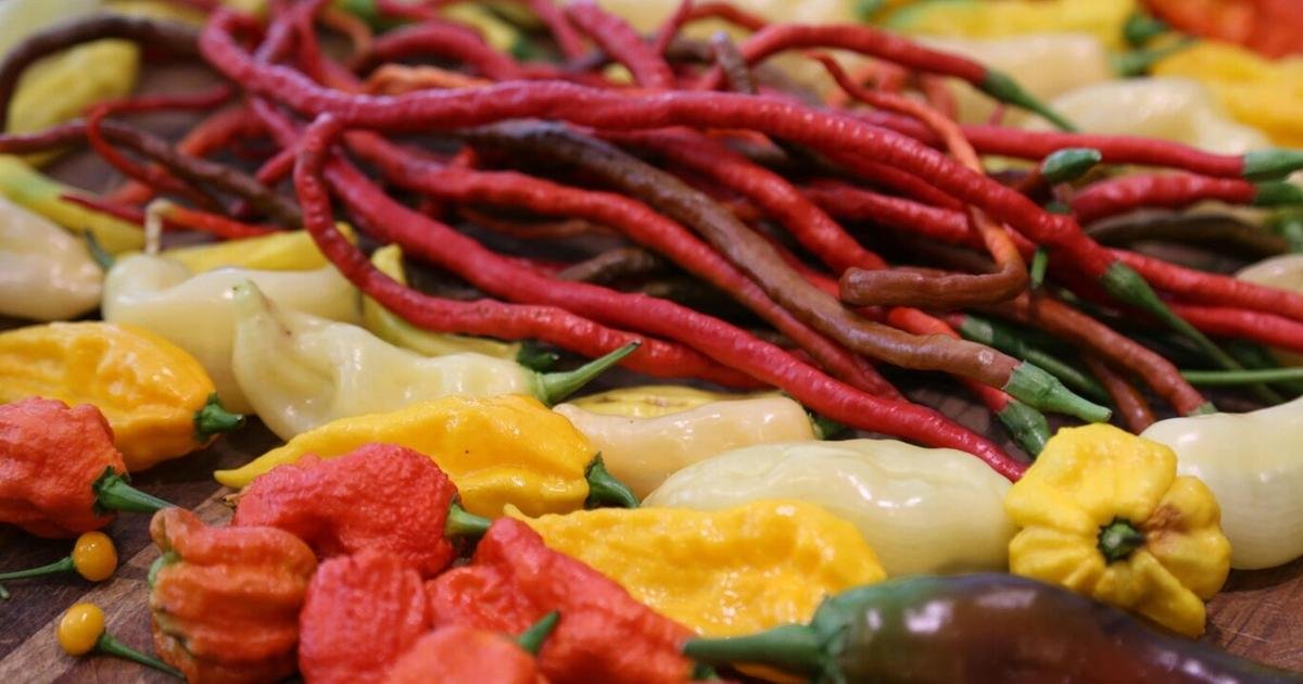 Gardening Etcetera: Growing hot peppers in northern Arizona