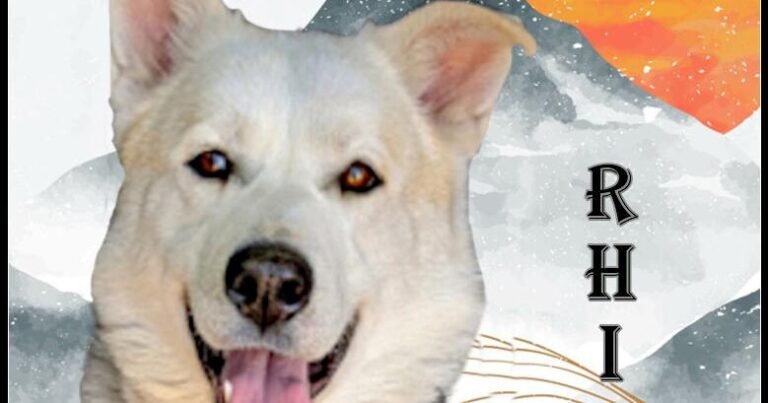 HCH Pet of the Week: Rhino