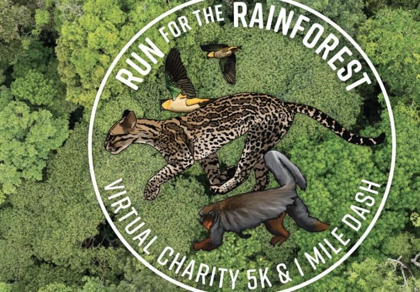 High Country Running: Run for the rainforest