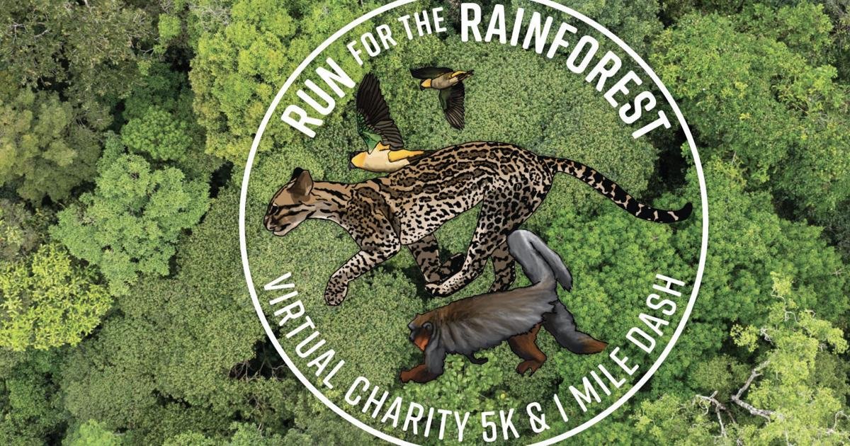 High Country Running: Run for the rainforest