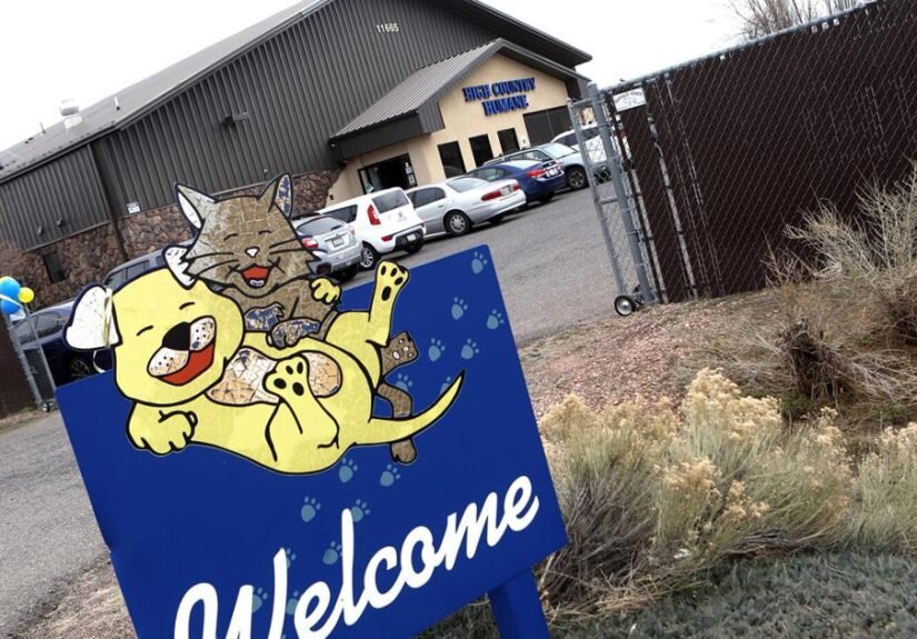 Animal Welfare: What the HCH/CHA merger means for animal care in Flagstaff going forward