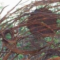 Botanical Blacksmiths open at the The Arboretum at  Flagstaff through Sept. 19