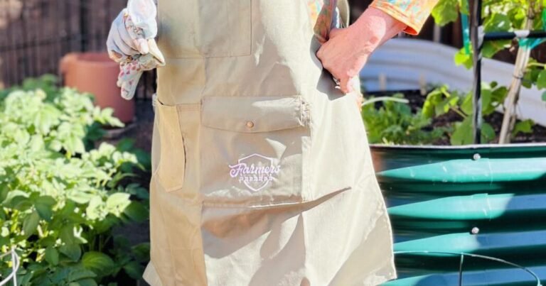 Gardening Etcetera: Work and whimsy in the Mt. Elden Moon Garden