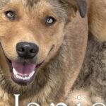 HCH Pet of the Week: Janice