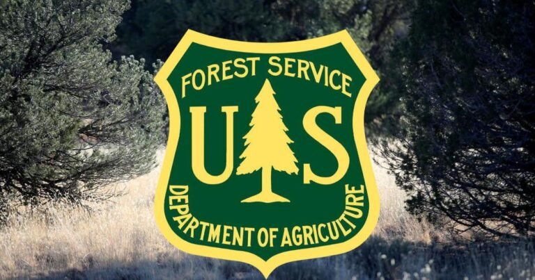 Kaibab National Forest may conduct pile burns during monsoon