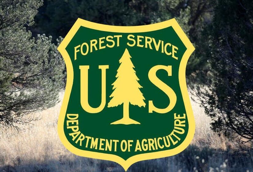 Kaibab National Forest may conduct pile burns during monsoon