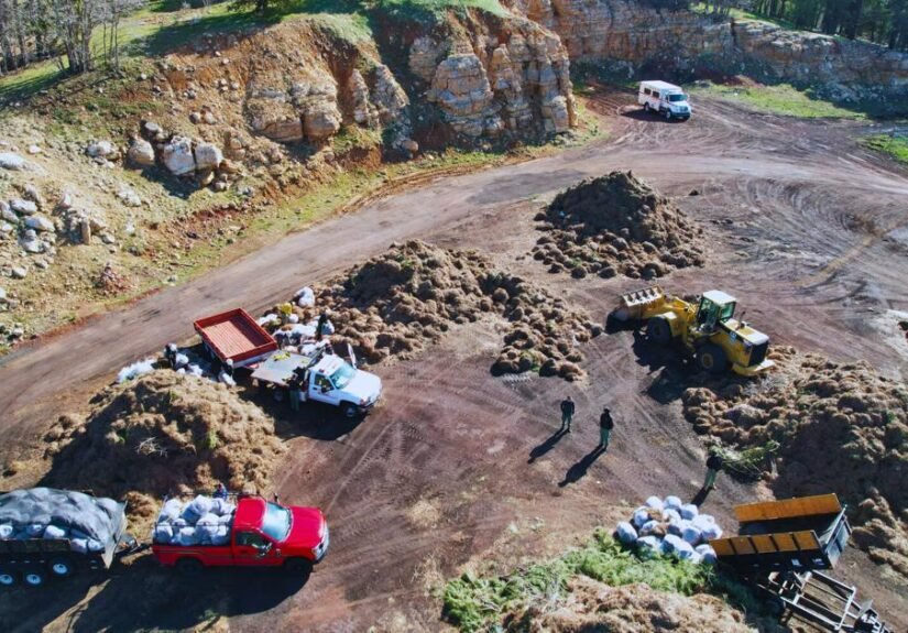 Willard Springs Green Waste Site reopens on Friday, July 17